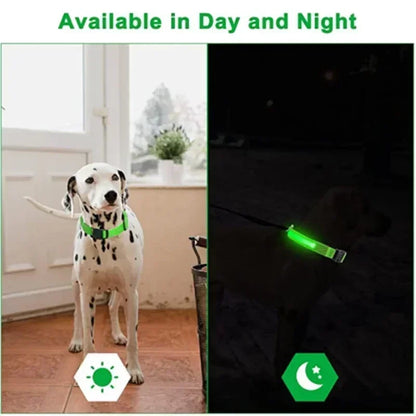 LED Glowing Dog Collar Adjustable Flashing Rechargeable Luminous Collar