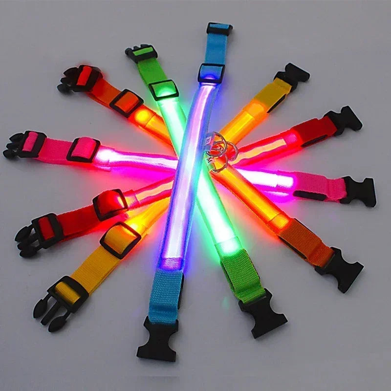 LED Glowing Dog Collar Adjustable Flashing Rechargeable Luminous Collar