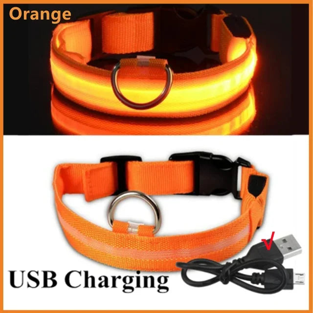 LED Glowing Dog Collar Adjustable Flashing Rechargeable Luminous Collar