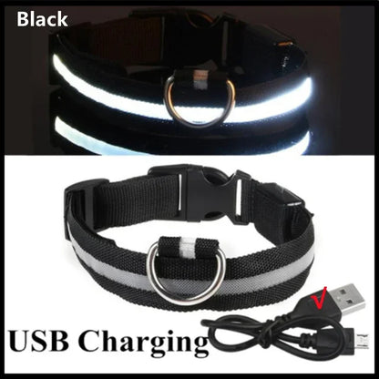 LED Glowing Dog Collar Adjustable Flashing Rechargeable Luminous Collar