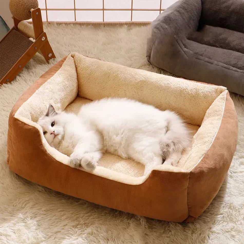 Washable Bed suitable for both Cats and small Dogs