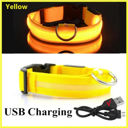 LED Glowing Dog Collar Adjustable Flashing Rechargeable Luminous Collar