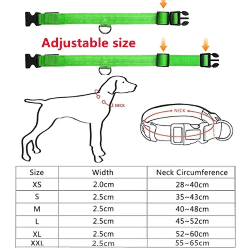 LED Glowing Dog Collar Adjustable Flashing Rechargeable Luminous Collar
