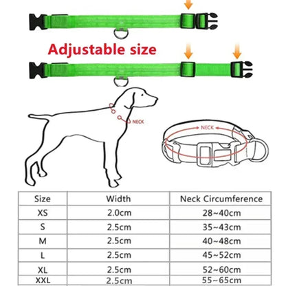 LED Glowing Dog Collar Adjustable Flashing Rechargeable Luminous Collar