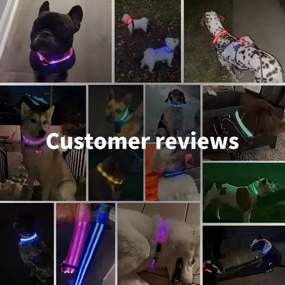 LED Glowing Dog Collar Adjustable Flashing Rechargeable Luminous Collar