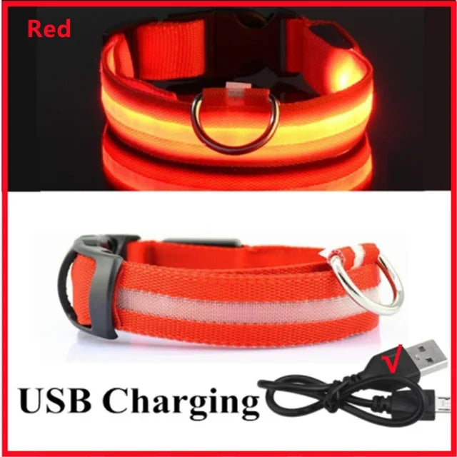 LED Glowing Dog Collar Adjustable Flashing Rechargeable Luminous Collar