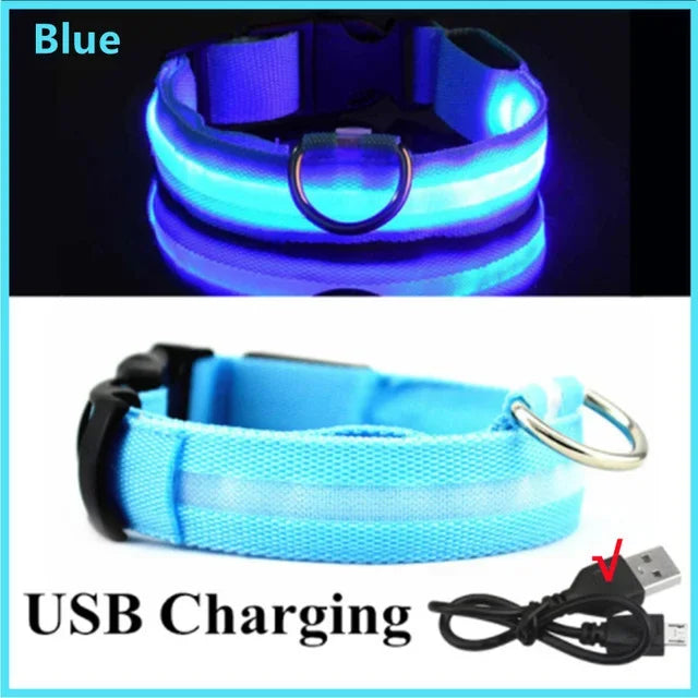 LED Glowing Dog Collar Adjustable Flashing Rechargeable Luminous Collar