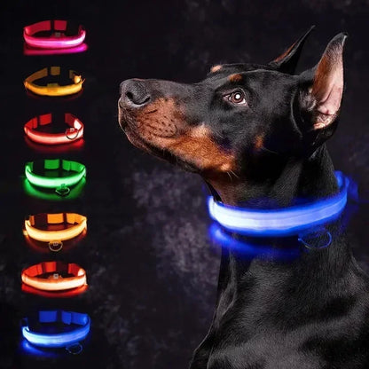 LED Glowing Dog Collar Adjustable Flashing Rechargeable Luminous Collar