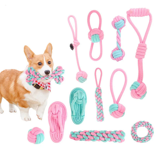 Blue / Pink Rope Chew toy